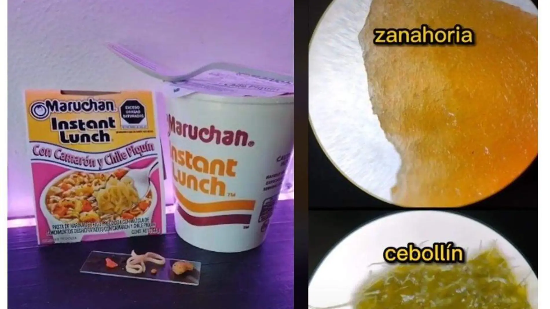 Maruchan bajo el microscopio 1